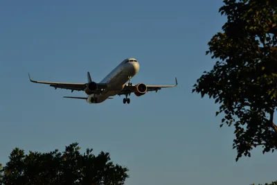 DSC_5692 (Large).JPG